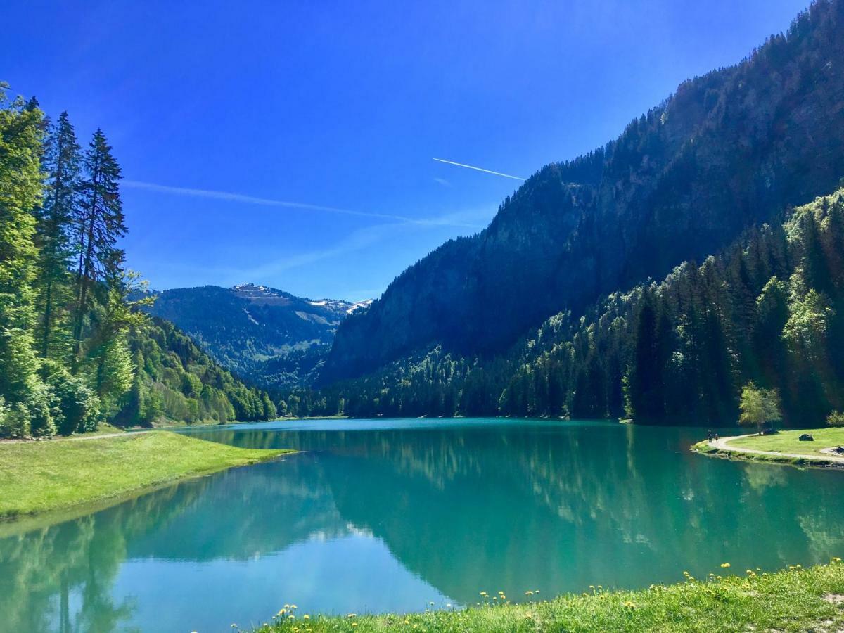 Apartment Romand Proche Morzine