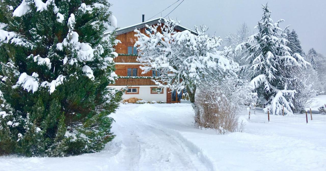 Apartment Romand Proche Morzine *